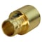 Apollo 1/2 in. Brass PEX Barb x 1/2 in. Female Copper Sweat Adapter APXFS1212 - alternate 4